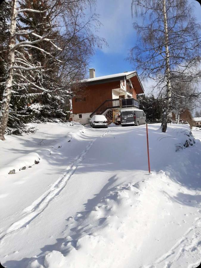 Chalet Spacieux Et Convivial La Toussuire Fontcouverte-la-Toussuire Luaran gambar
